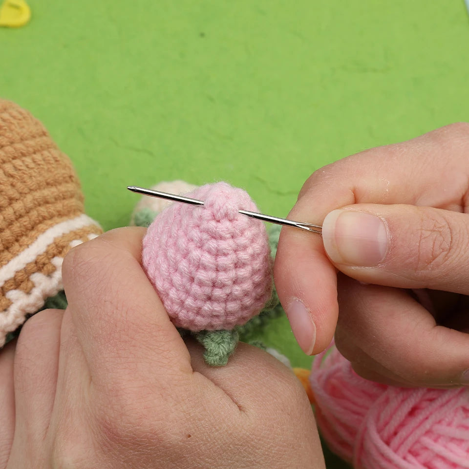 Beginner Crochet Flower Kit