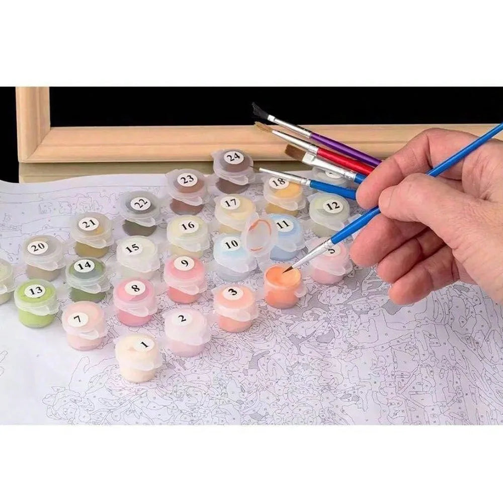 1pc Paint by Numbers Kit