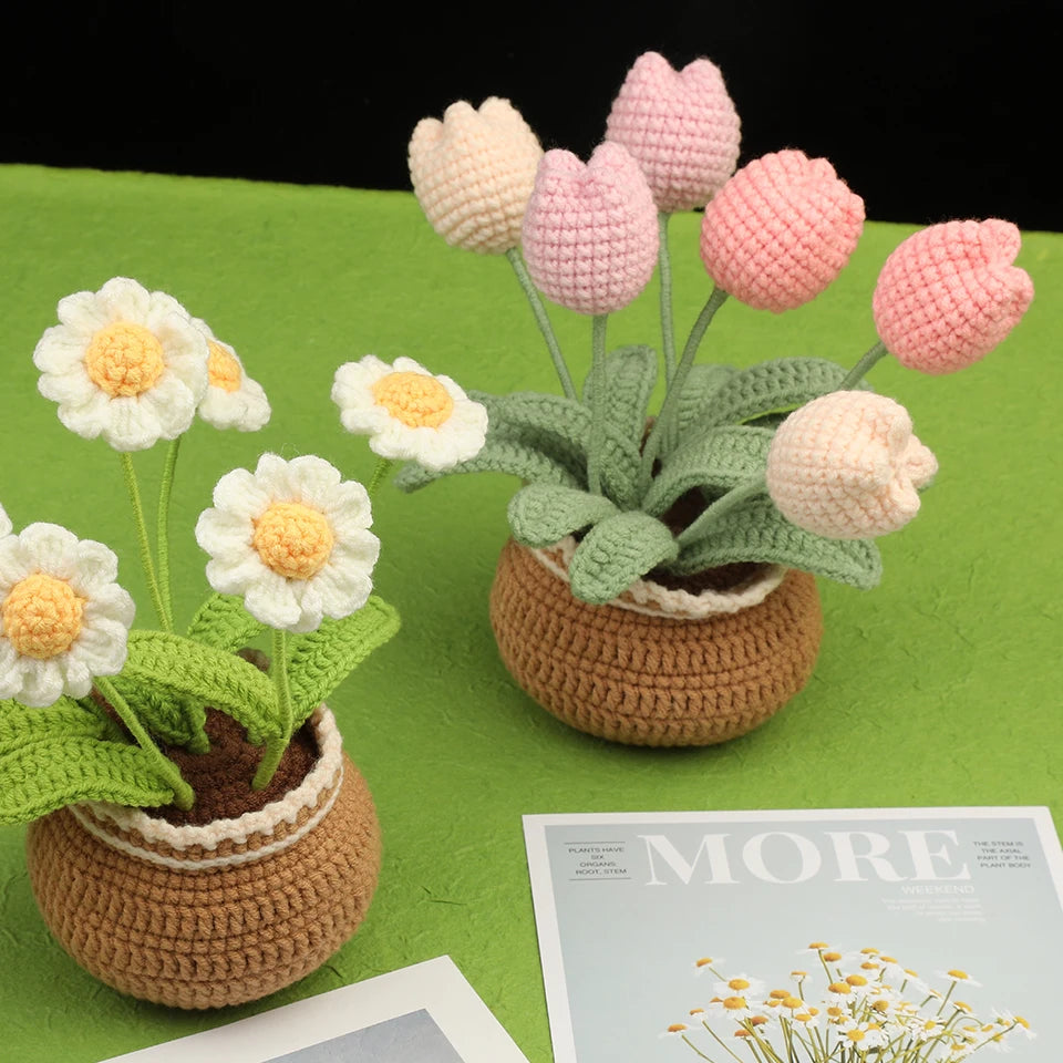 Beginner Crochet Flower Kit
