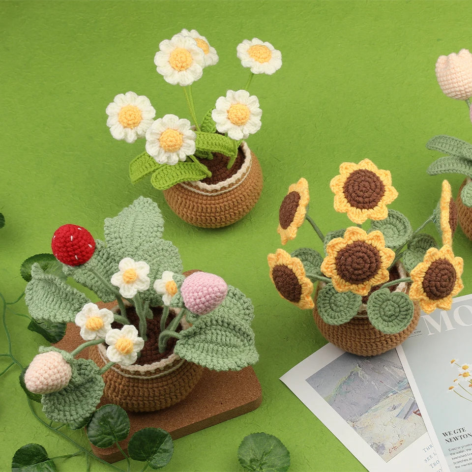 Beginner Crochet Flower Kit