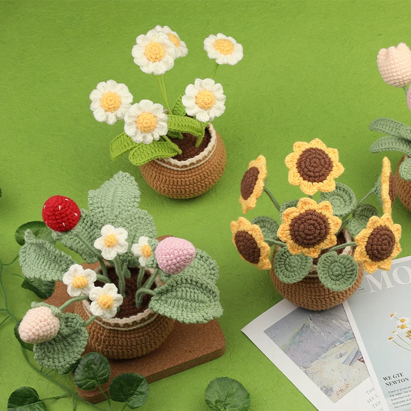 Beginner Crochet Flower Kit
