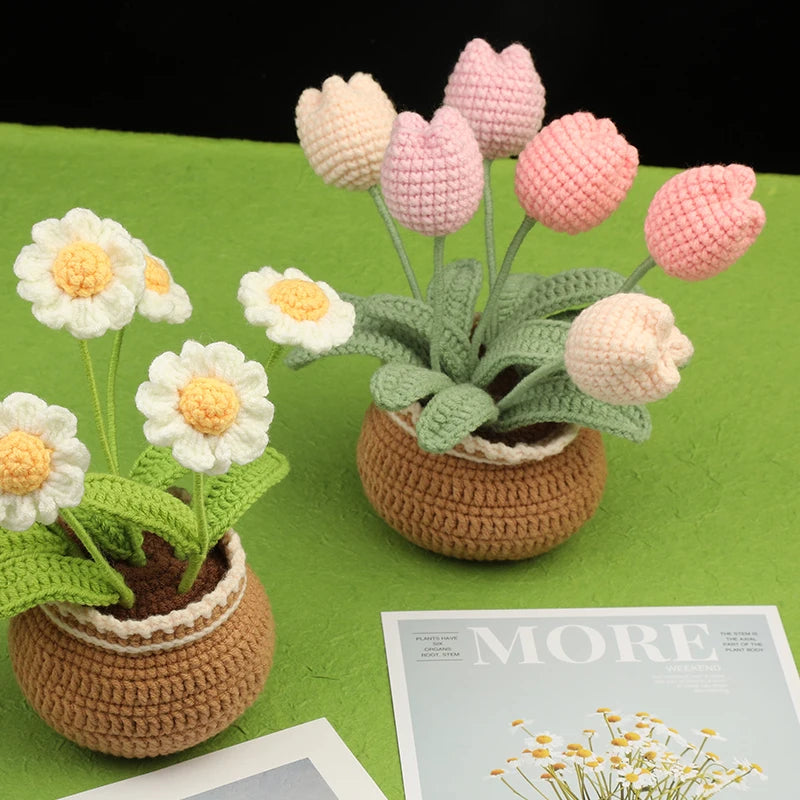 Beginner Crochet Flower Kit