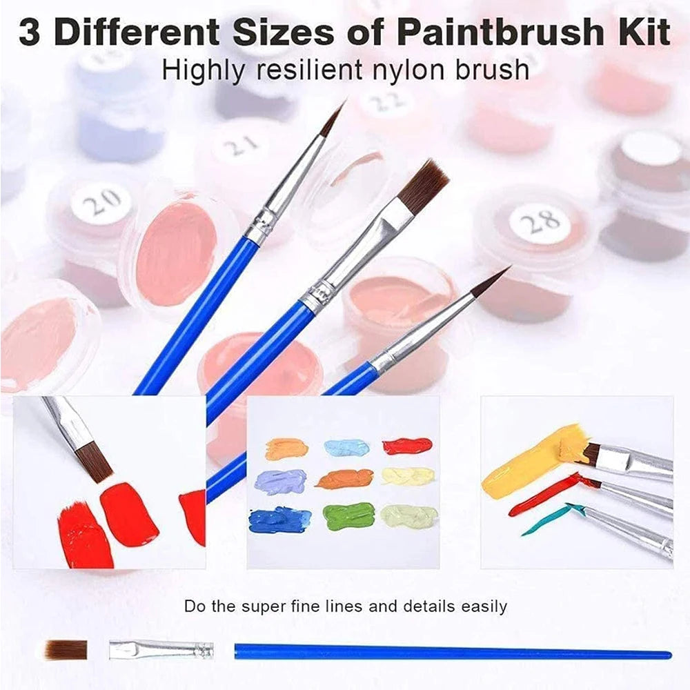 1pc Paint by Numbers Kit